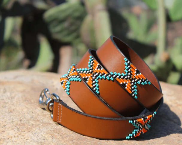 SAMBBOHO Dog Leash
