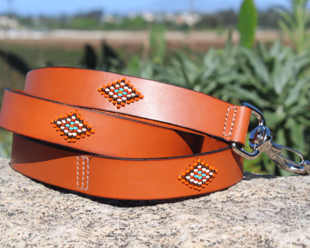 SAMBBOHO Dog Leash