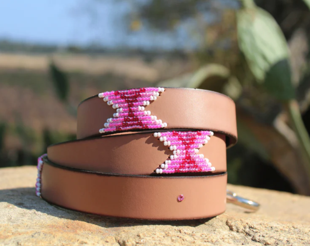SAMBBOHO Dog Leash