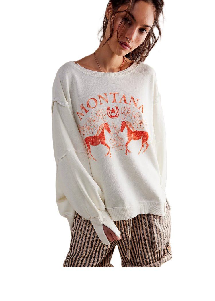 FREE PEOPLE Graphic Camden Pullover