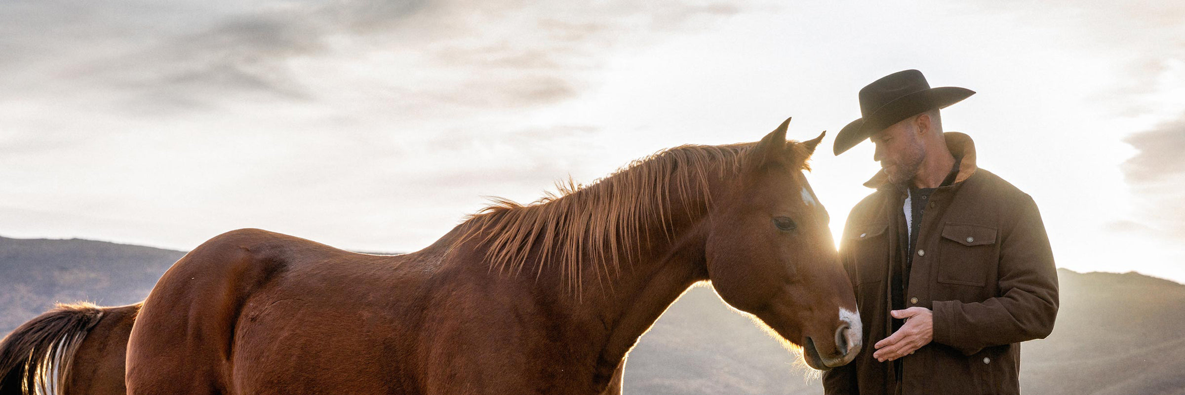 Welcome to Vaquero Bucks