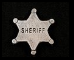 ABCO Sheriff Pin