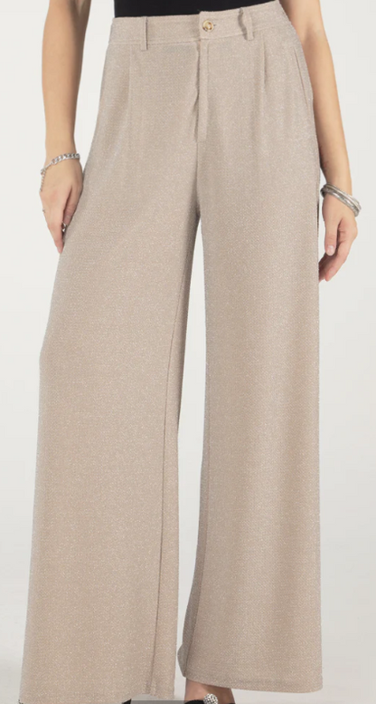 MISS ME Subtle Shine Trousers