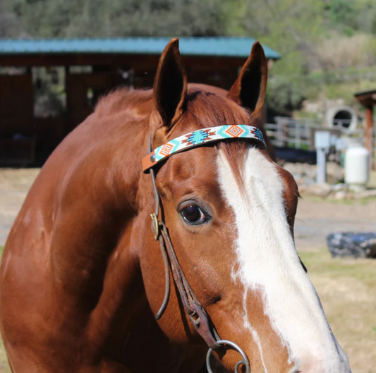 SAMBBOHO Horse Brow Band