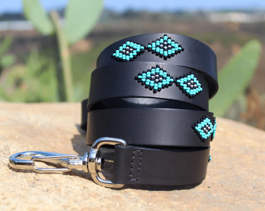 SAMBBOHO Dog Leash
