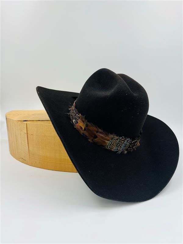 AUSTIN ACCENTS Feather Hatband