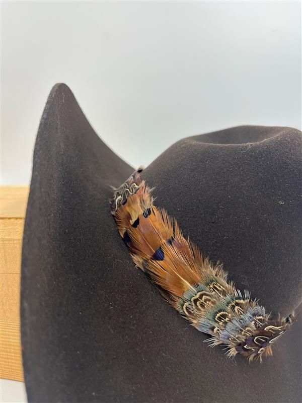 AUSTIN ACCENTS Feather Hatband