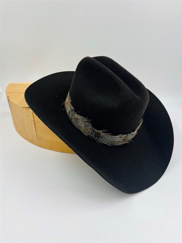 AUSTIN ACCENTS Feather Hatband