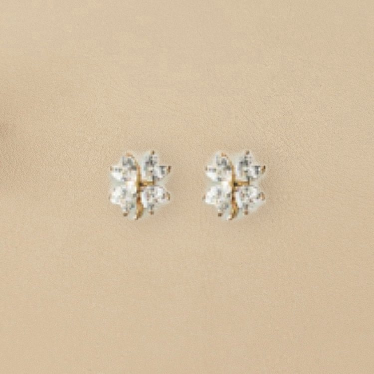 ABCO Ceramic Ring Dish Earrings