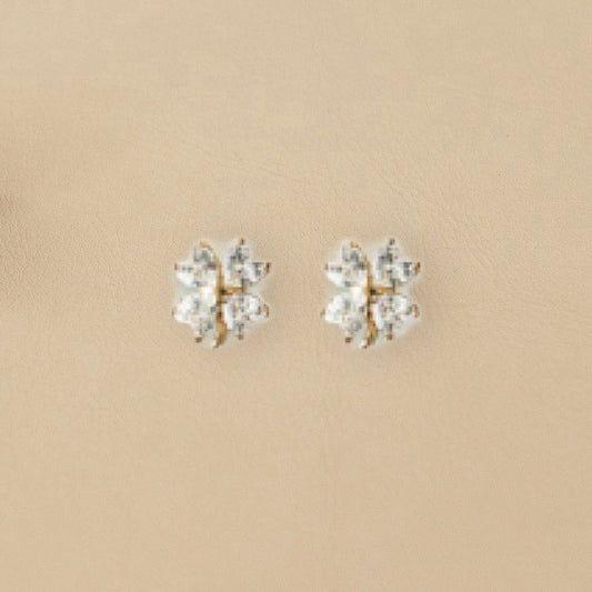 ABCO Ceramic Ring Dish Earrings