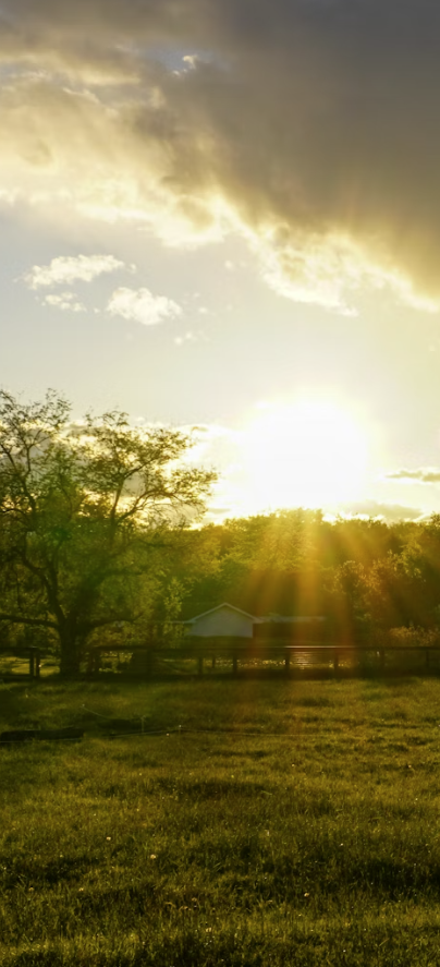 Branding Bar activation