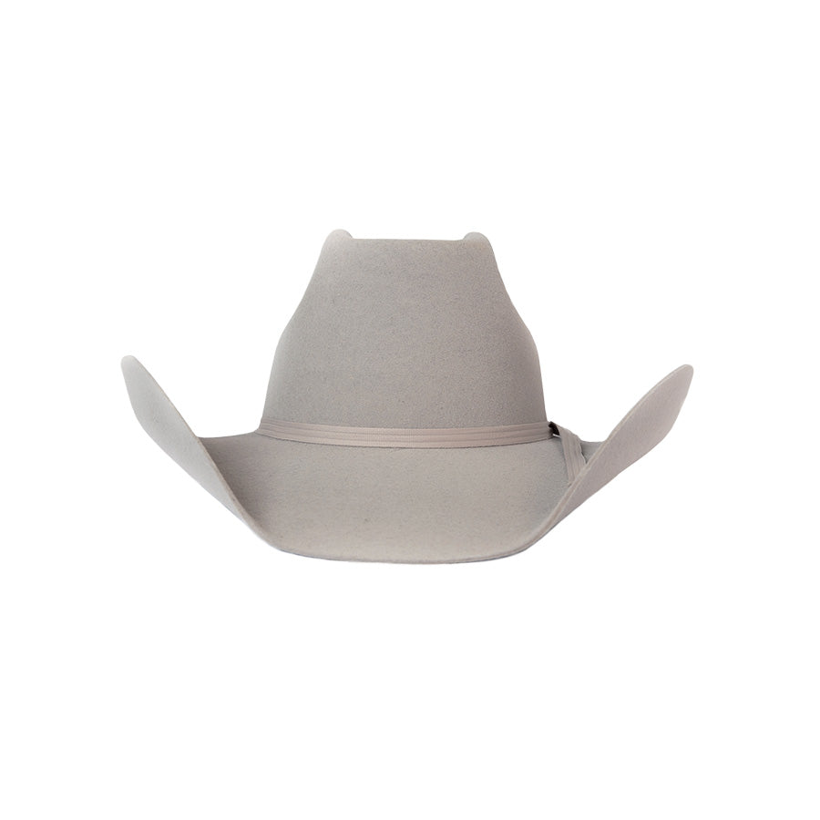 
                  
                    Gray Cowboy Hat
                  
                